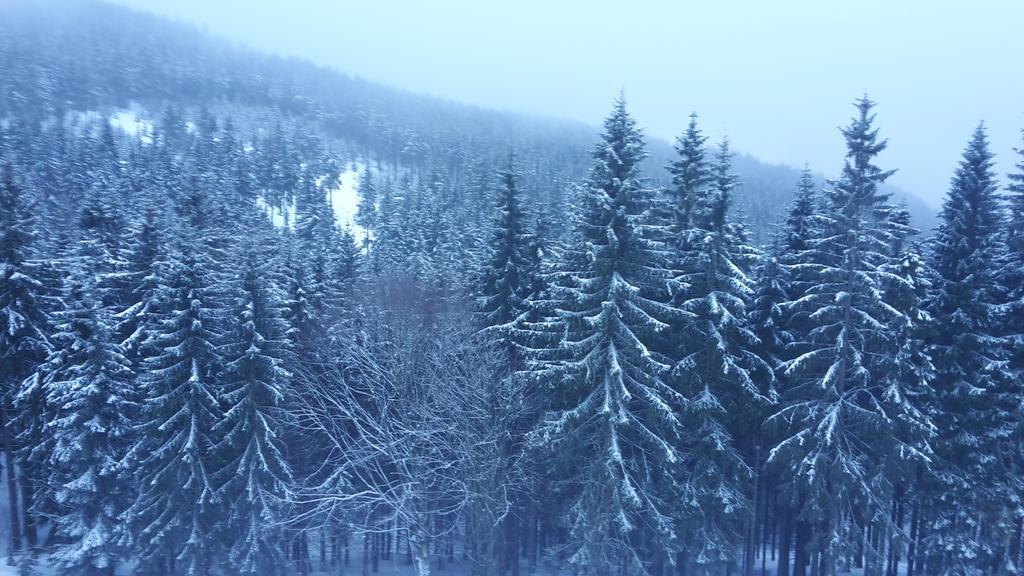 Vysokohorsky Apartman Cihlarka Pec pod Sněžkou Buitenkant foto