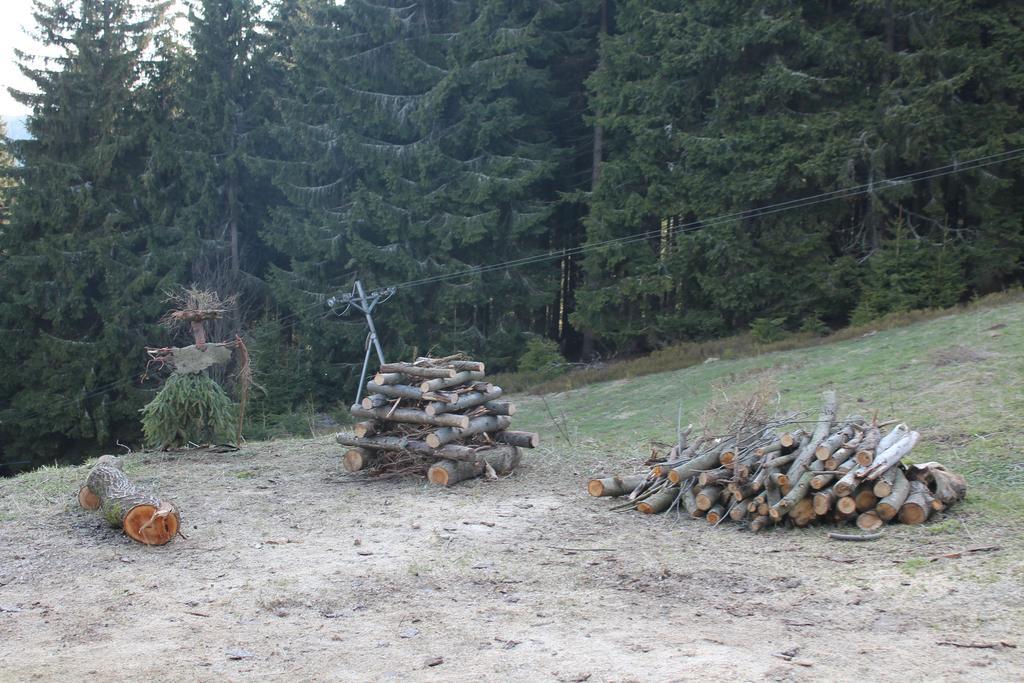 Vysokohorsky Apartman Cihlarka Pec pod Sněžkou Buitenkant foto